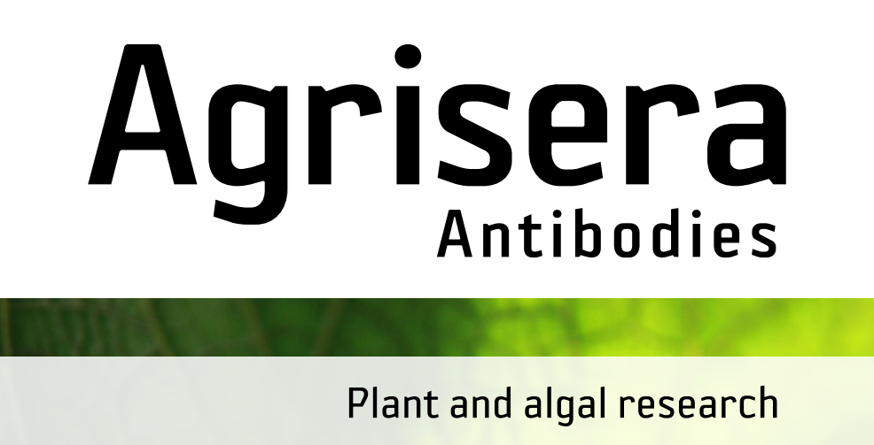 Agrisera MicroRNA相關(guān)研究植物蛋白抗體火熱促銷中！